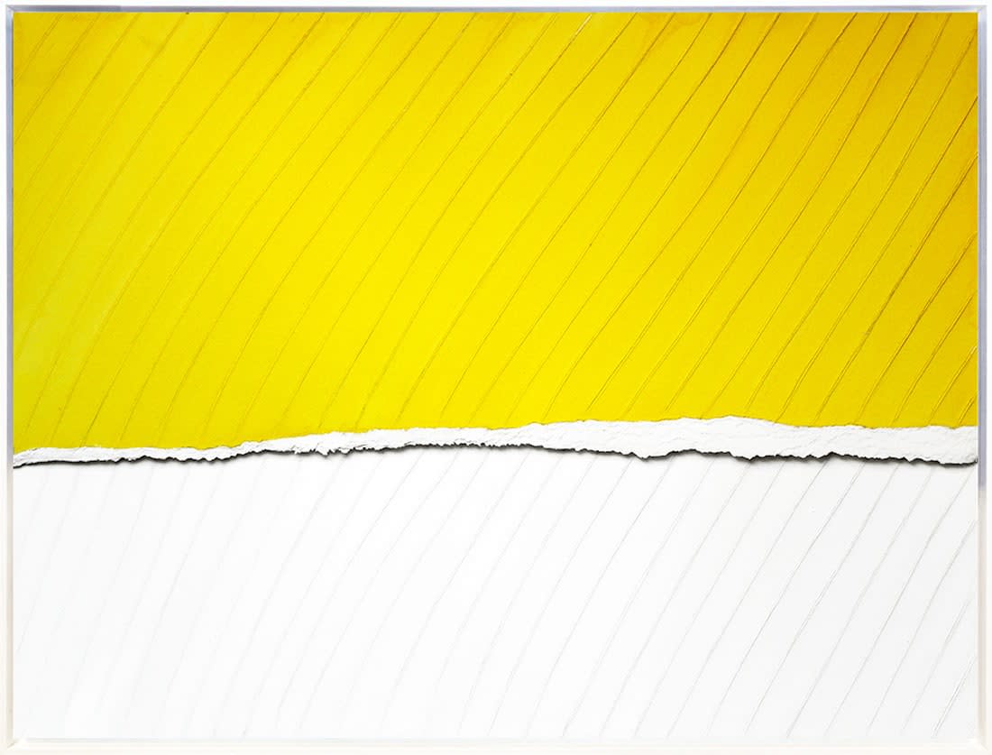 Image of Commande géant jaune et blanc