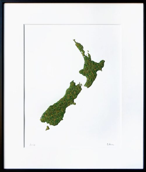 Nouvelle-Zélande image