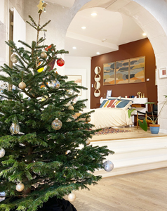 Nos sélections de Noël