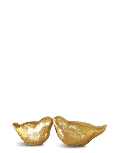 Uccelli image