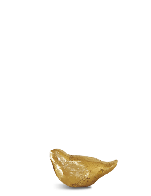 Uccello image