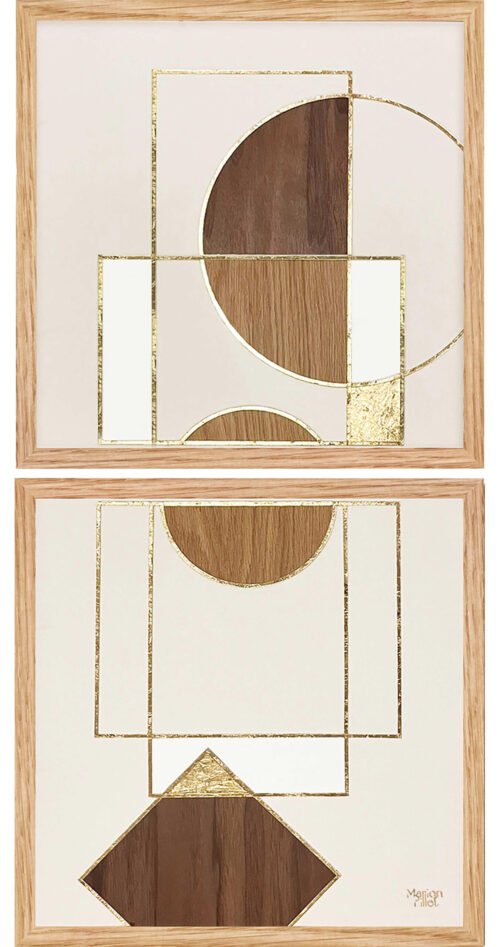 Structura Aurea image