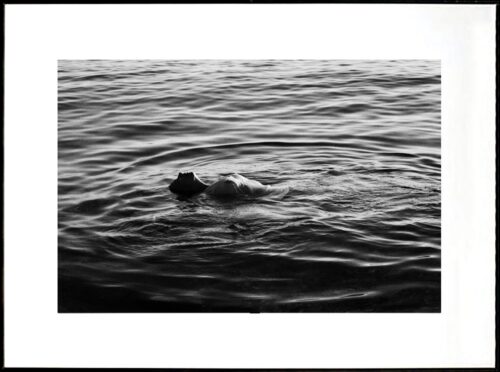 Various from Greece no. 6 image