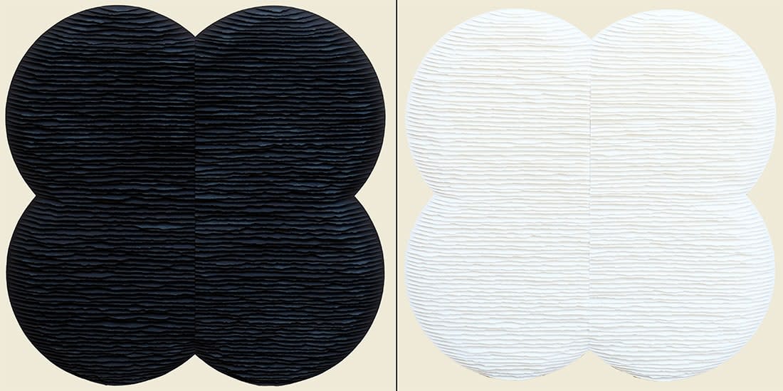 Image of Fleur noire et fleur blanche