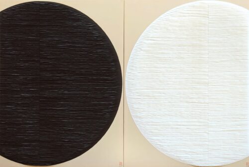 Deux cercles : noir et blanc image