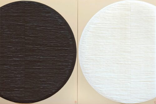 Deux cercles : noir et blanc image