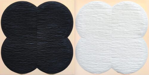 Fleur noire et fleur blanche image