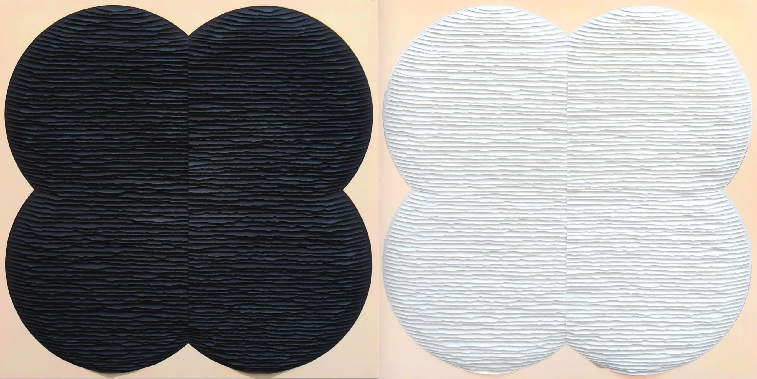 Image of Fleur noire et fleur blanche