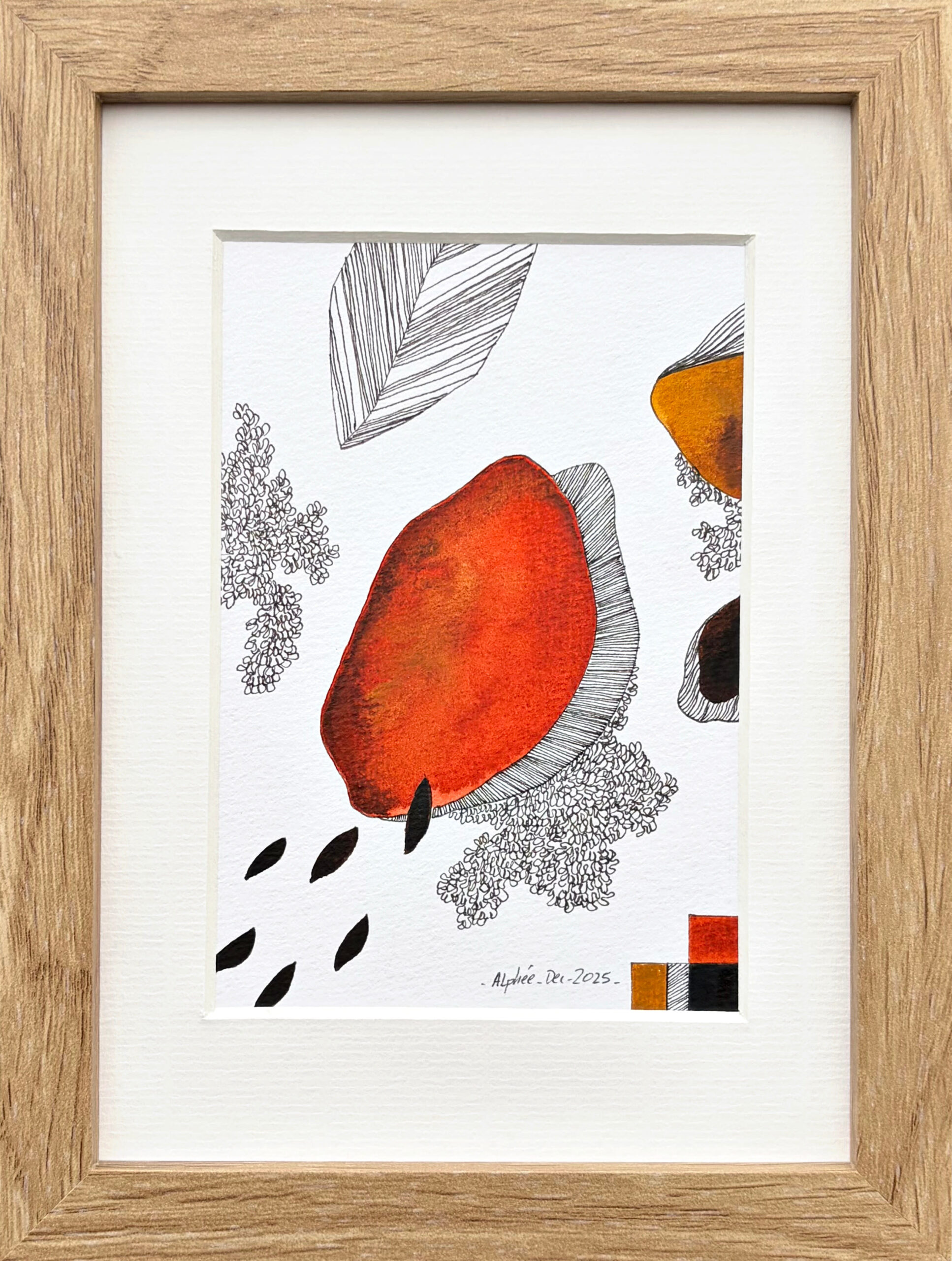 Étude île d'Aix XXVI