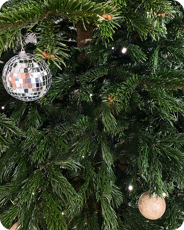 La sélection de noël