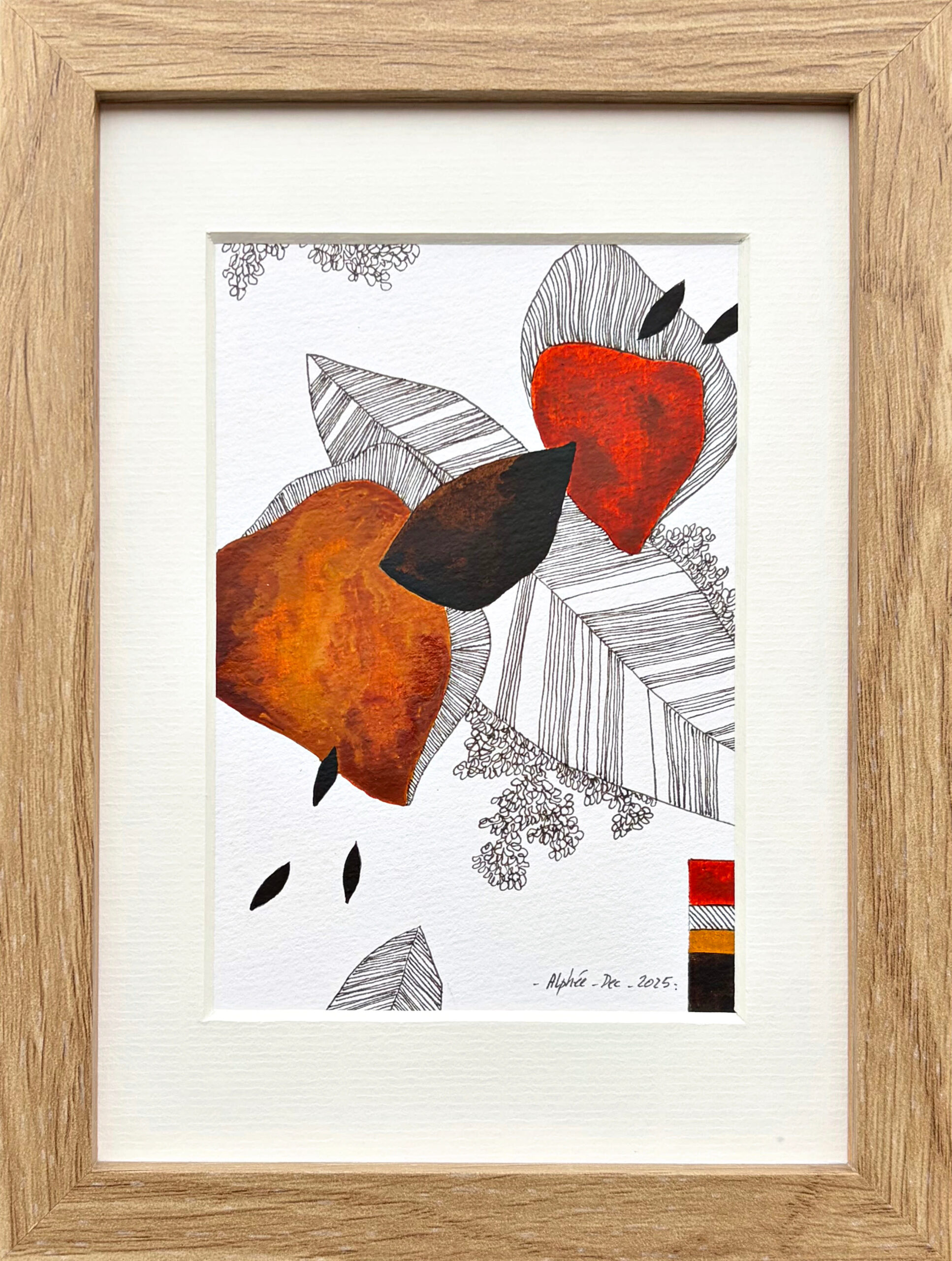 Étude île d'Aix XXIX