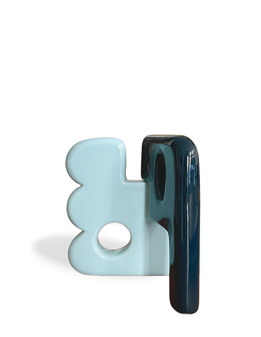 Petit Koharu bleu bi-colore