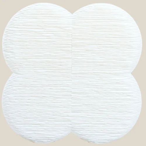 Fleur blanche image